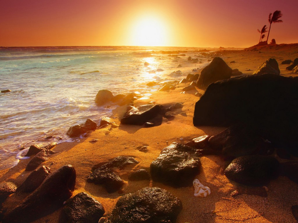 Shoreline Sunset Hawaii Wallpaper