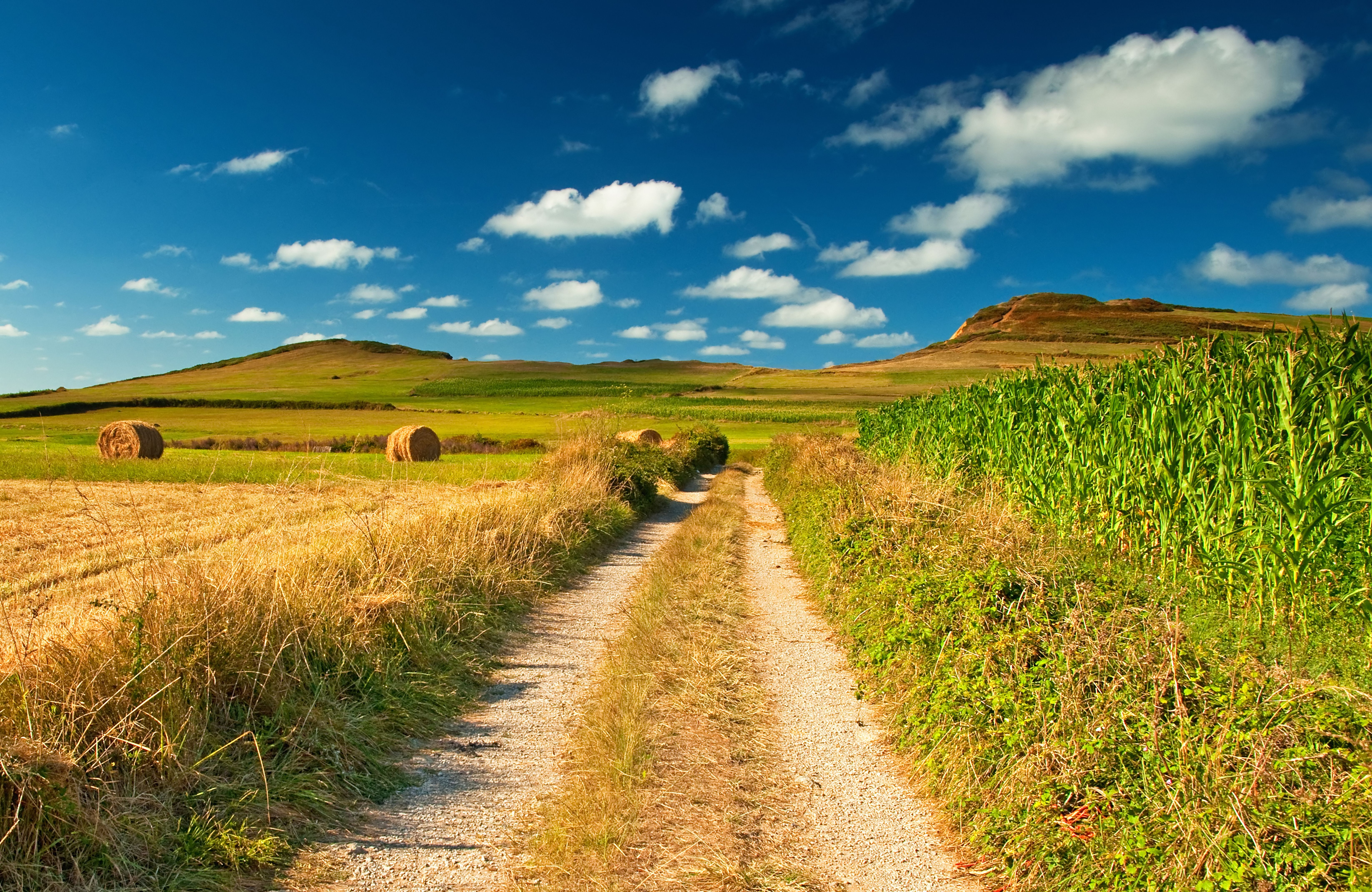 Landscape Nature Scenery Blue Sky Picture Scenic Country Road