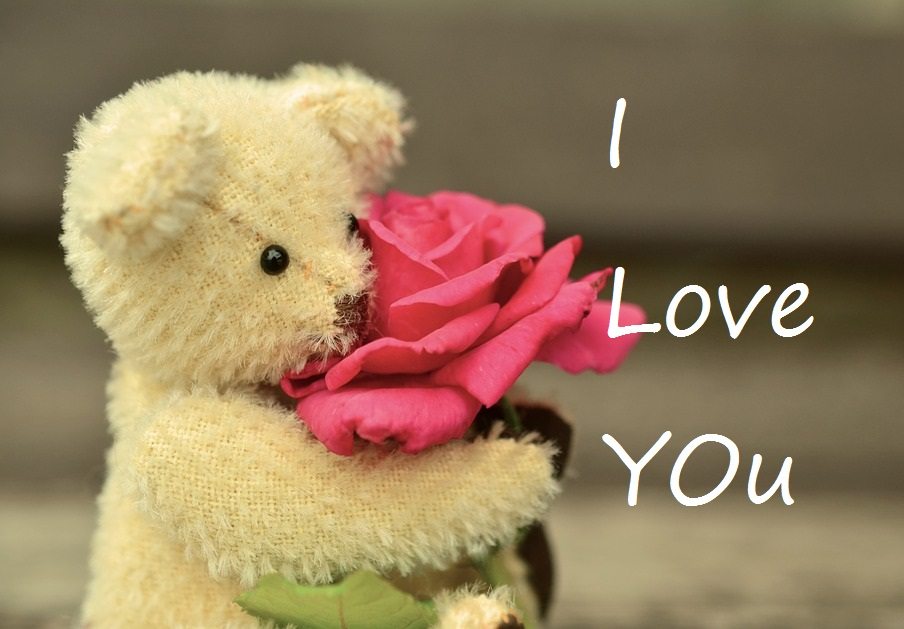 Happy Teddy Day Image Pictures Wallpaper For