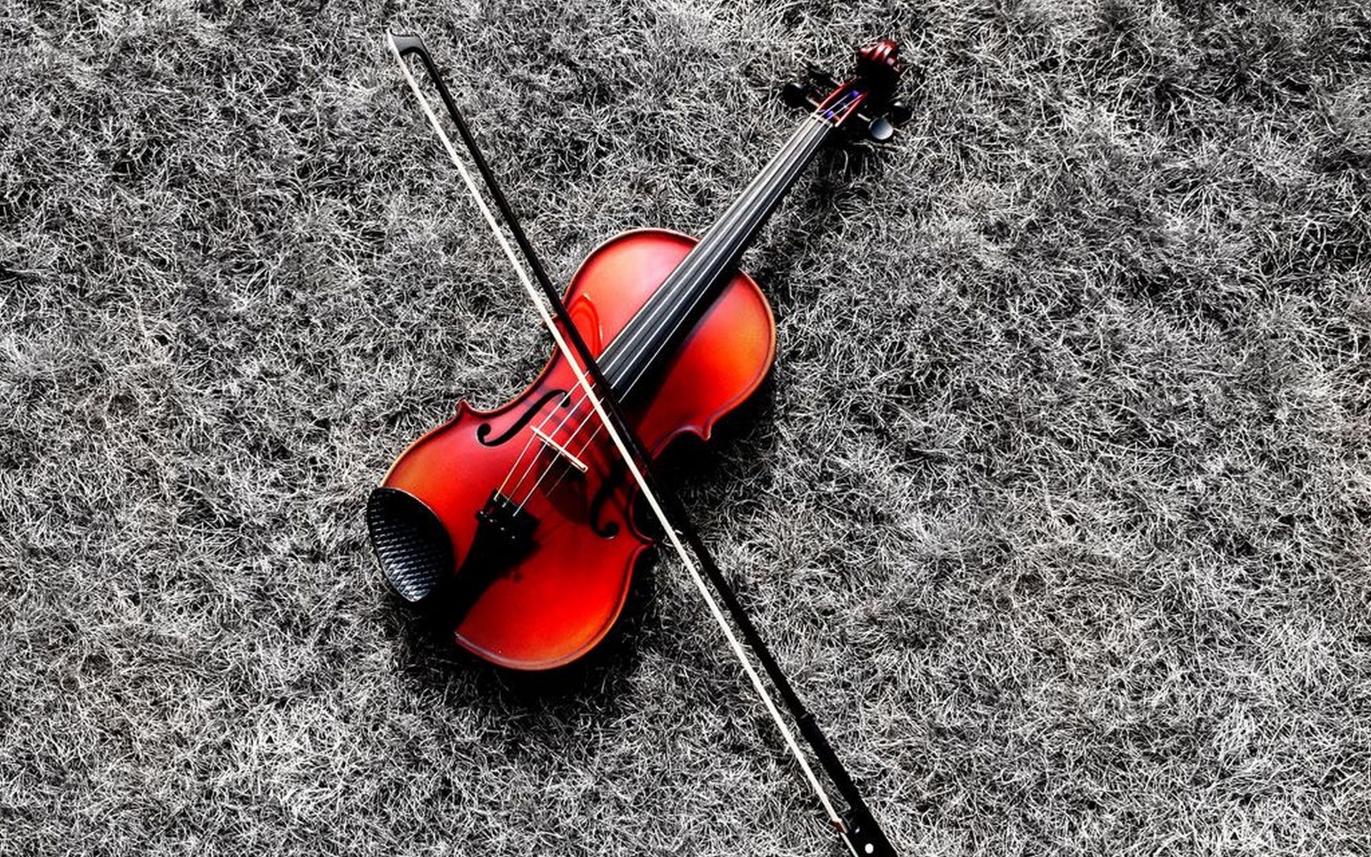Descargar Fondos De Pantalla Violin Brillante HD Widescreen Gratis