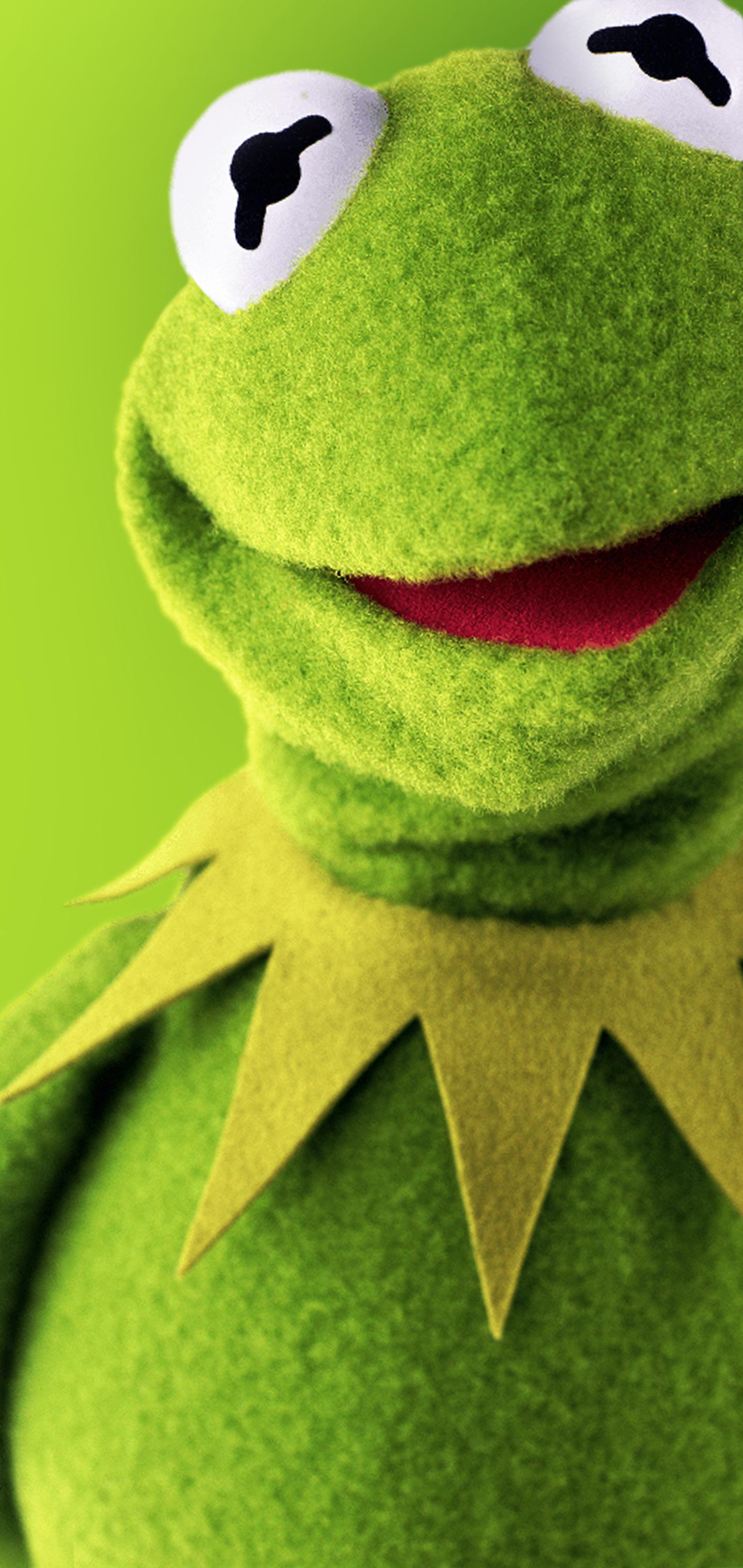 Kermit The Frog HD Wallpaper On