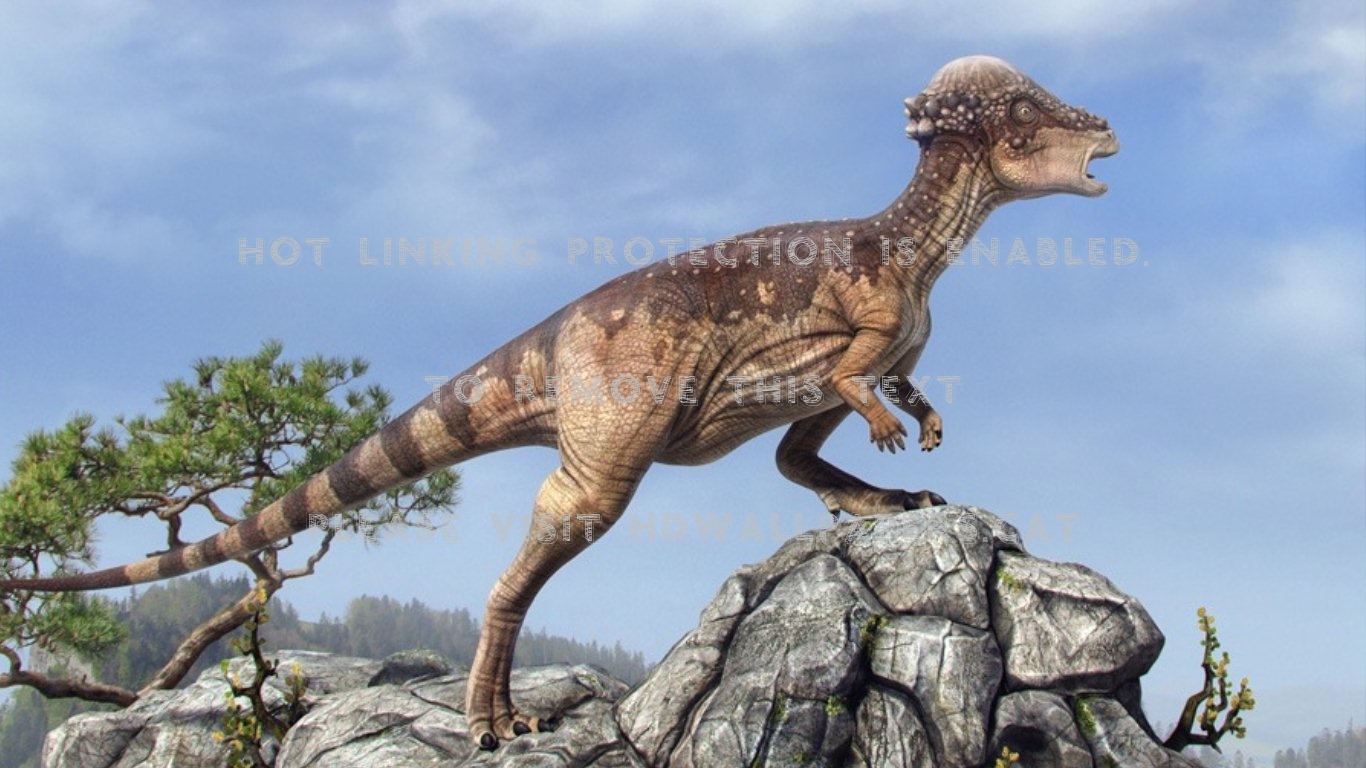 Pachycephalosaurus Sky Tree Dinosaur Rocks