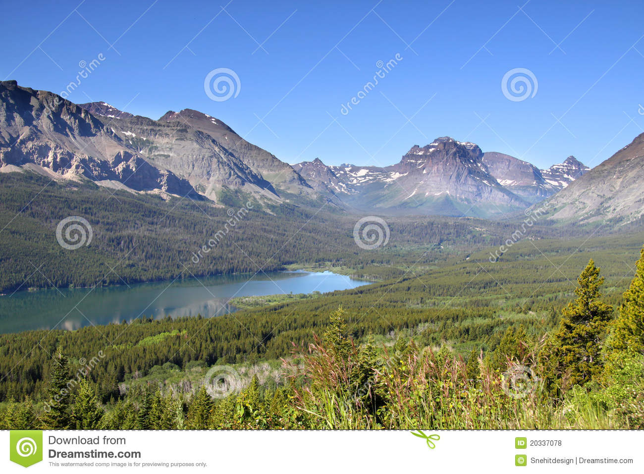 Source URL httpkootationcom glacier national park montana green