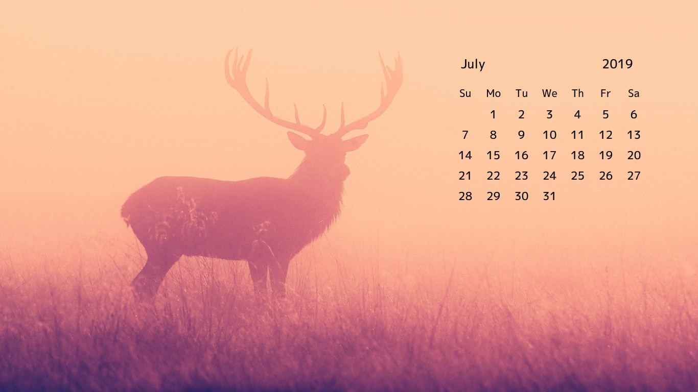 Free Download July 2019 Calendar Wallpaper Calendar 2019 Wallpapers 