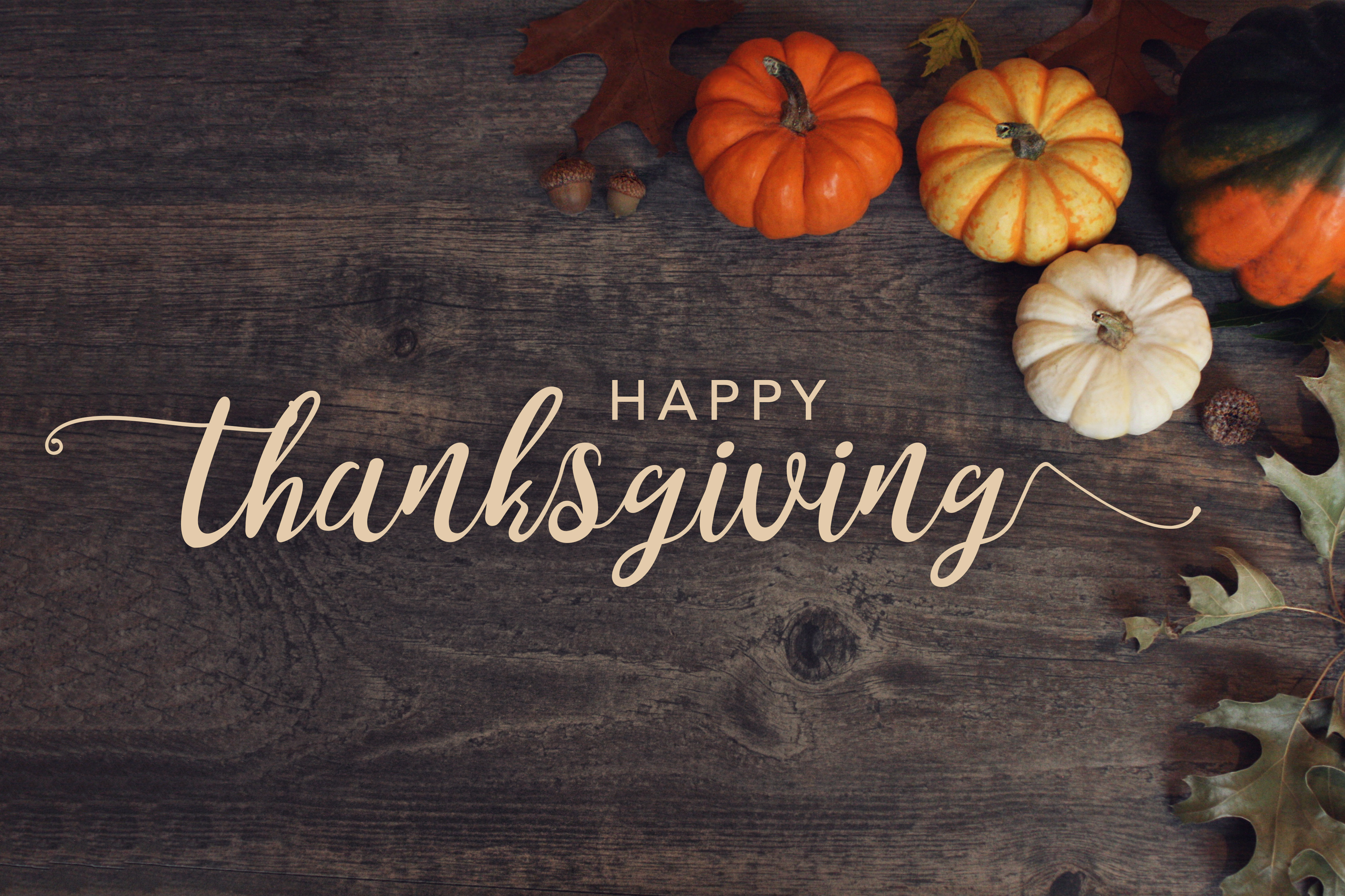 Thanksgiving Background Image HD Happy
