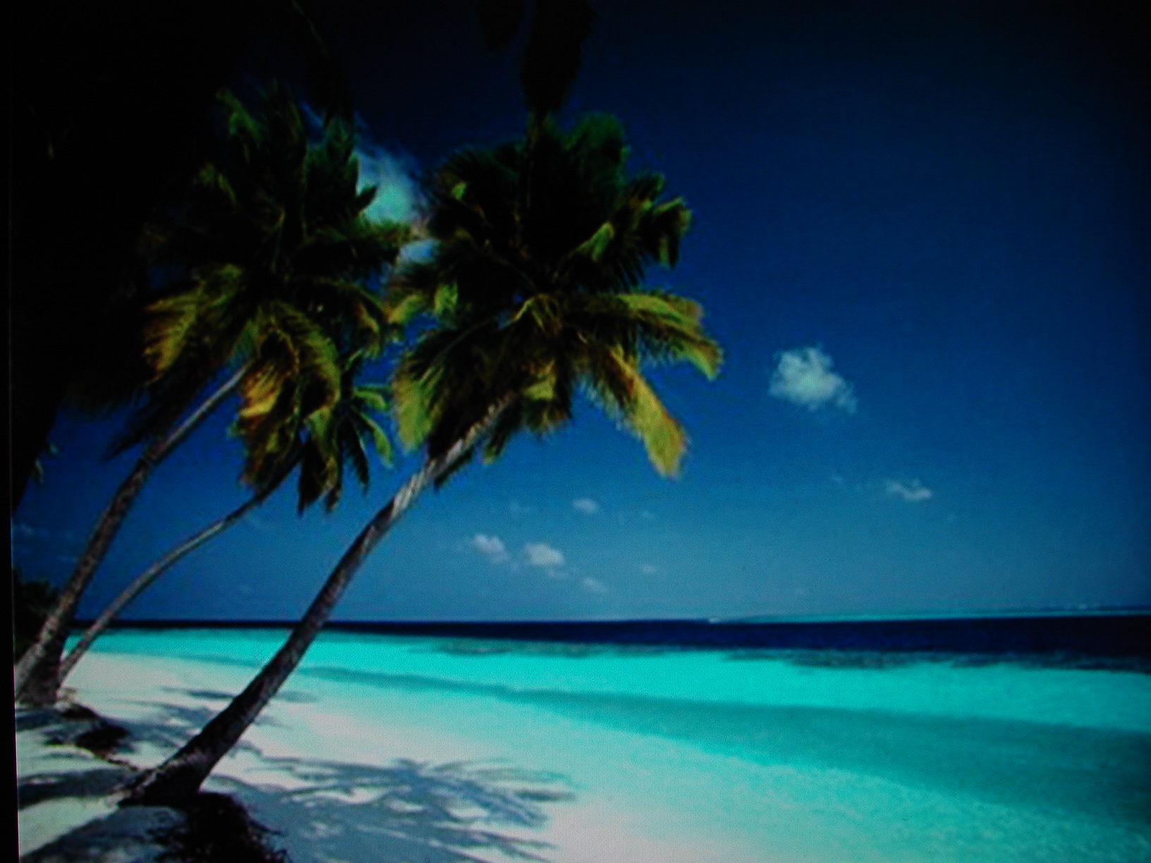 Caribbean Beach Wallpaper Desktop Backgrounds for Free