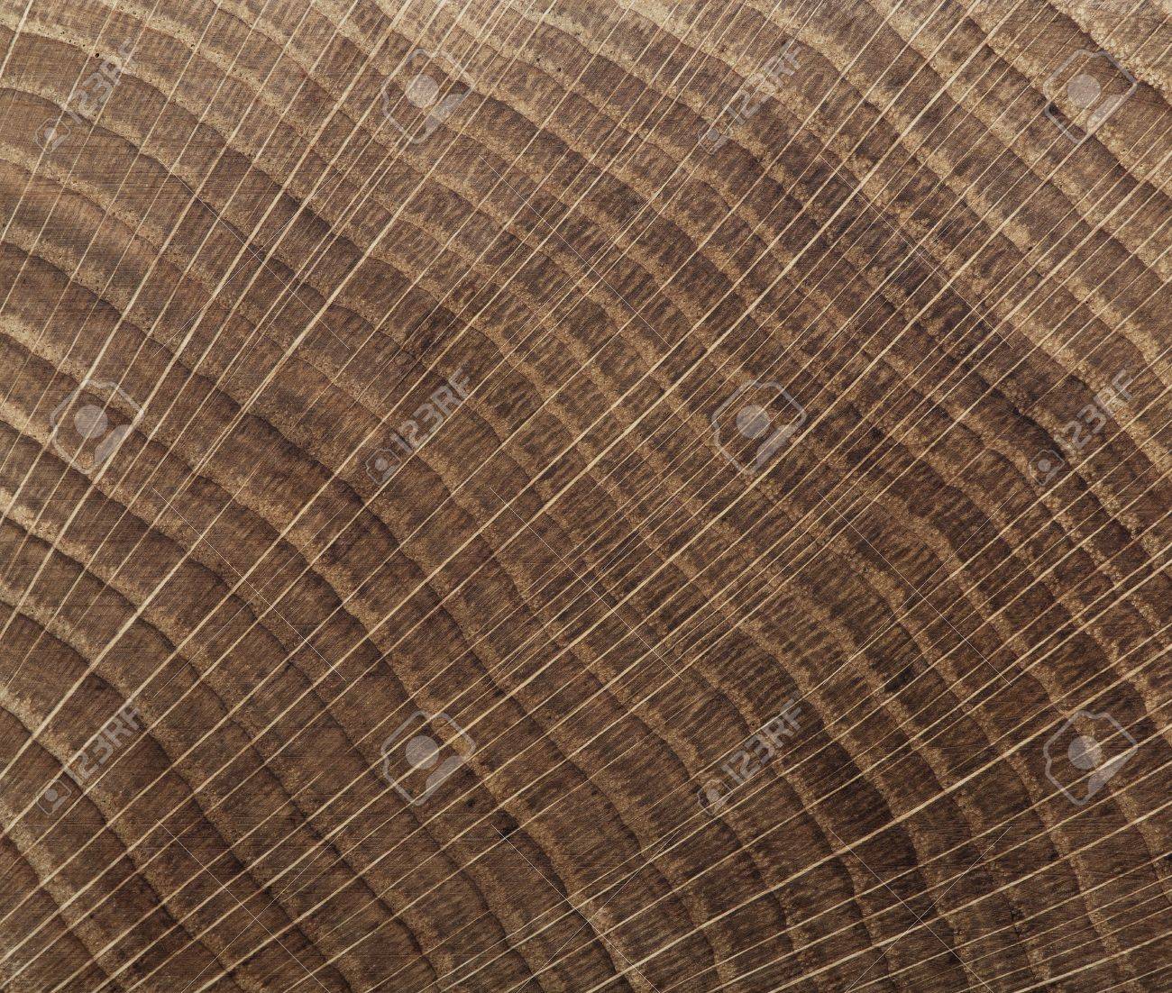 End Grain And Wood At Adam Ross Blog