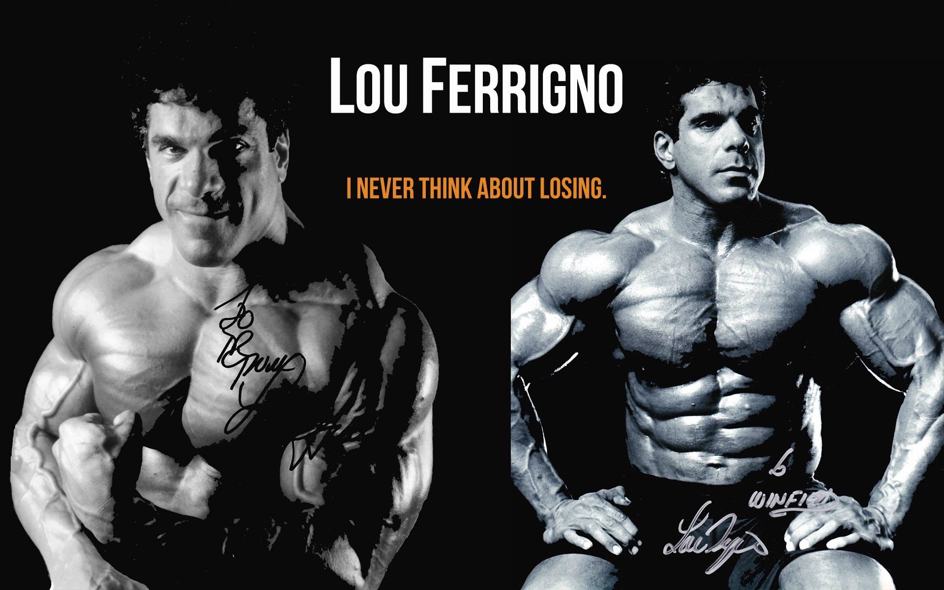 Bodybuilding Wallpaper HD