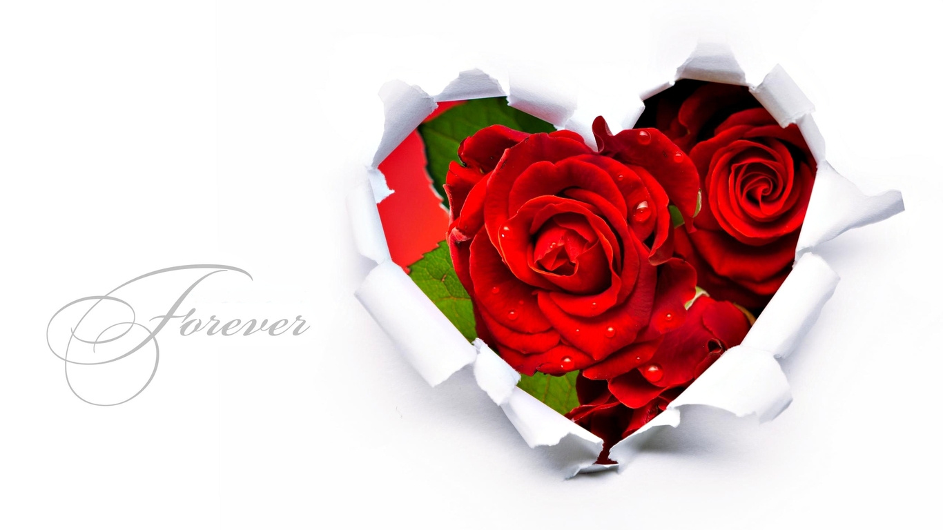 Love HD Wallpaper With Rose Flowers Heart Red Rocks