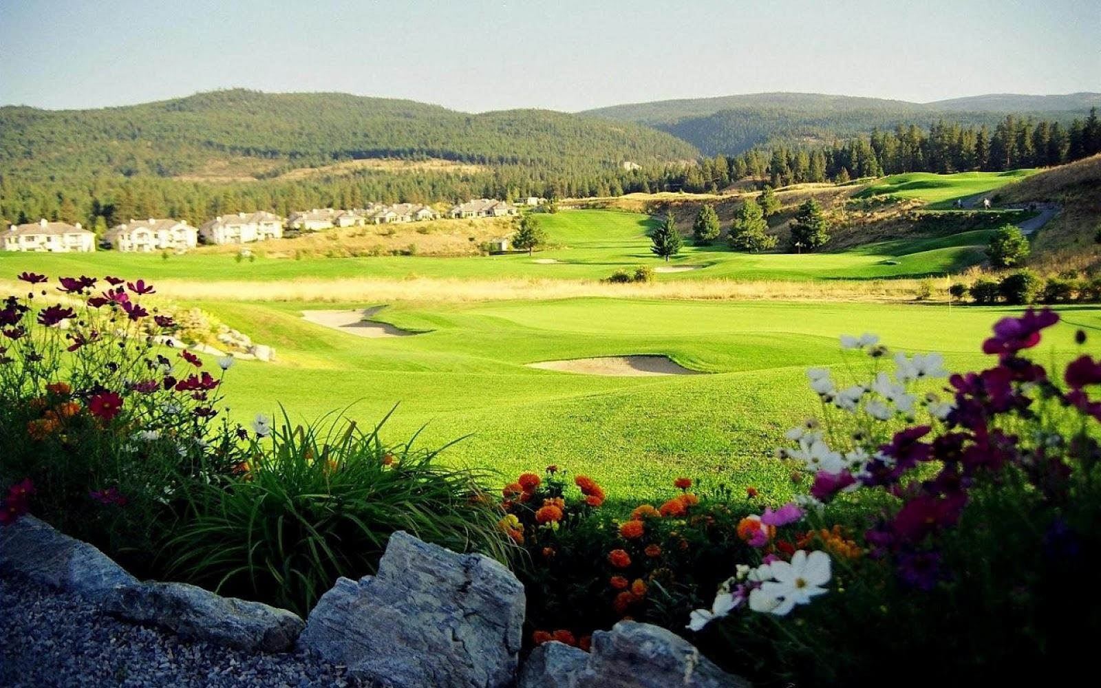 Flowered Golf Course Wallpaper - WallpaperSafari