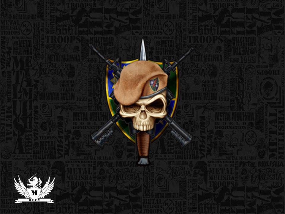 Us Army Rangers Logo Wallpaper Ranger By Miguelf22
