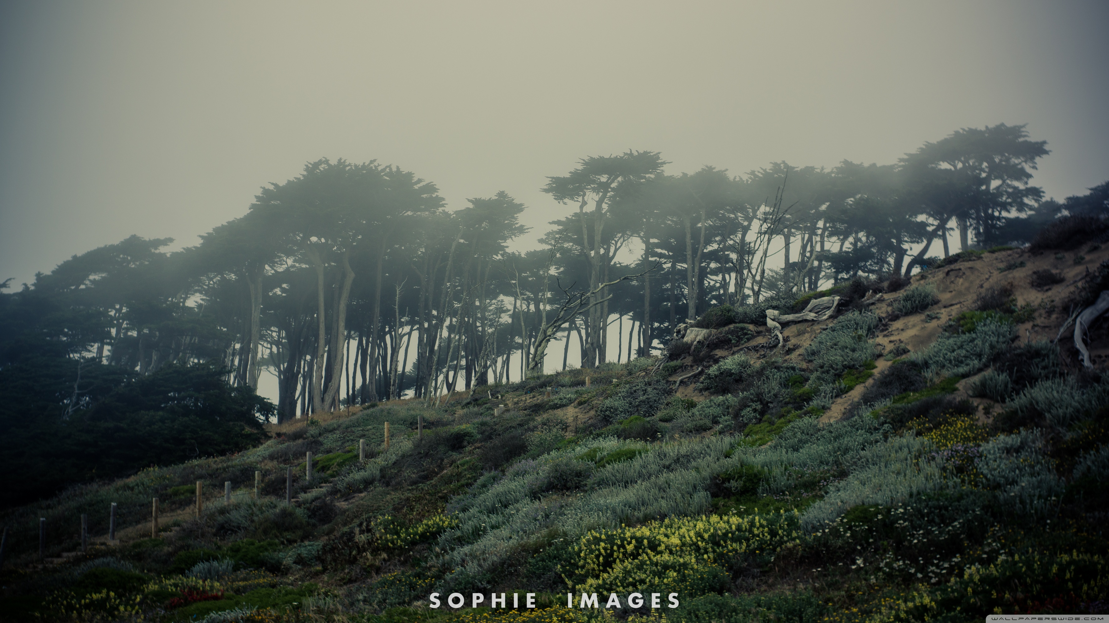 Free download Gloomy Weather Ultra HD Desktop Background Wallpaper for