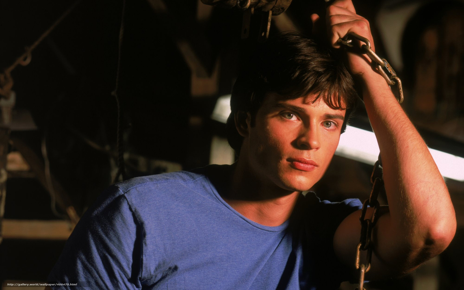 Tom Welling Wallpapers Smallville