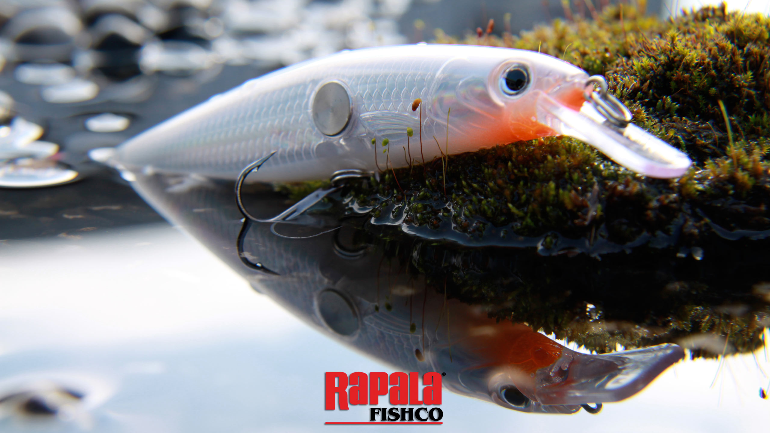 Rapala Fishco Wallpaper