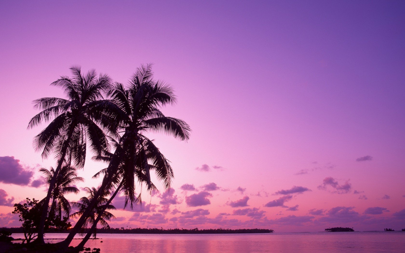 Ảnh nền biển màu hồng cho laptop: Tưởng tượng mình đang đứng trước bãi biển huyền diệu với những con sóng âm thầm và ánh trăng lãng mạn, tất cả thể hiện đẹp lung linh trên máy tính của bạn thông qua những mẫu ảnh nền biển màu hồng tuyệt vời này. Bạn sẽ cảm thấy thật sự thư giãn và thoải mái khi dùng máy tính.