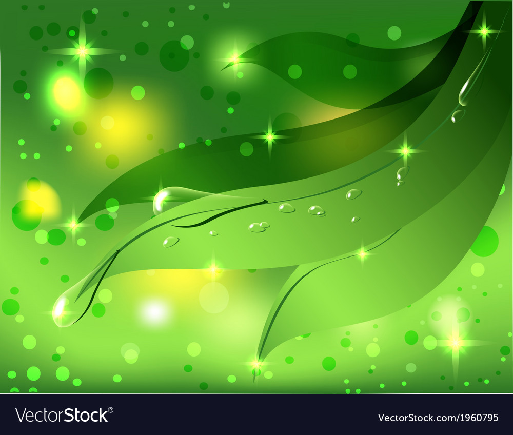 Beautiful Green Background With Leaves And Dew Vector Image