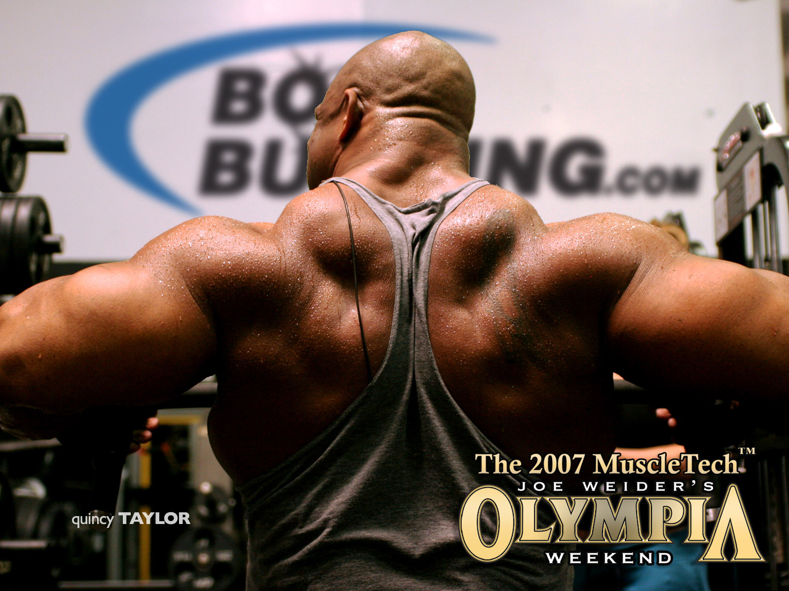 Pro Bodybuilder Actor Personal Trainer Quincy Taylor Wallpaper