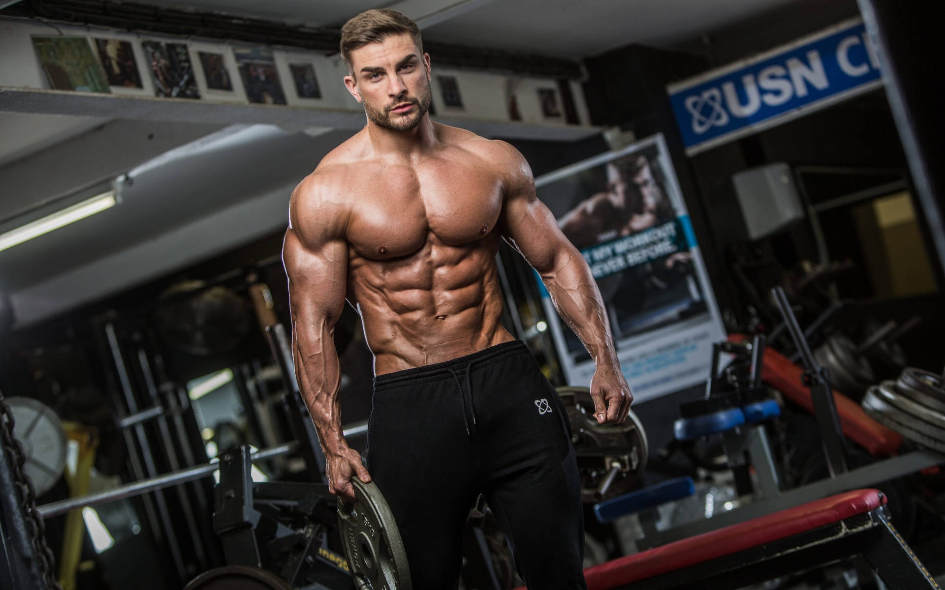Bodybuilders HD Wallpaper