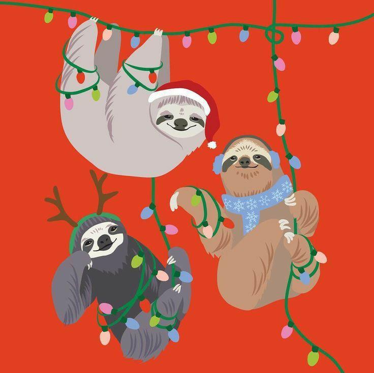 Sheri Skivers on Holidays Christmas sloth Sloth art
