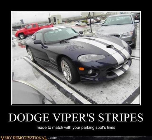 Top Viper Meme Images for Pinterest 640x591