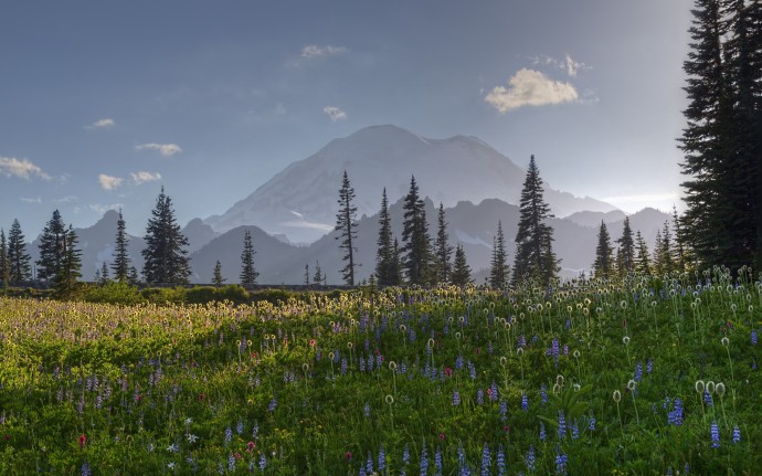 File Name HD Image Of Mount Rainier Desktop Wallpaper Washington