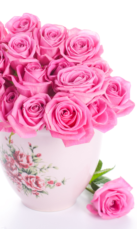 Live Wallpaper HD Read This First Pink Roses You