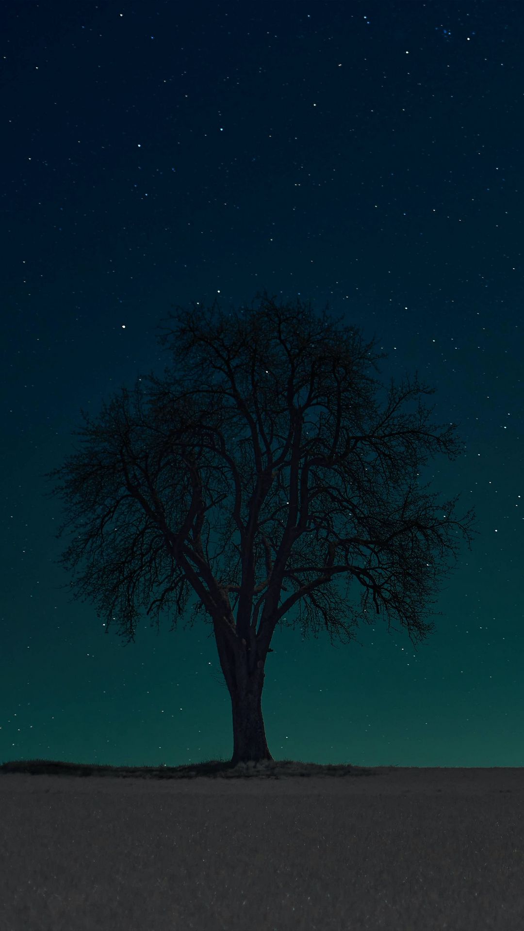 Alone Tree Silhouette At Night Wallpaper