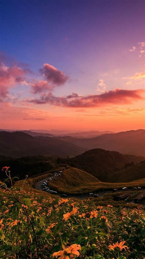 Aesthetic Nature Landscape Wallpaper