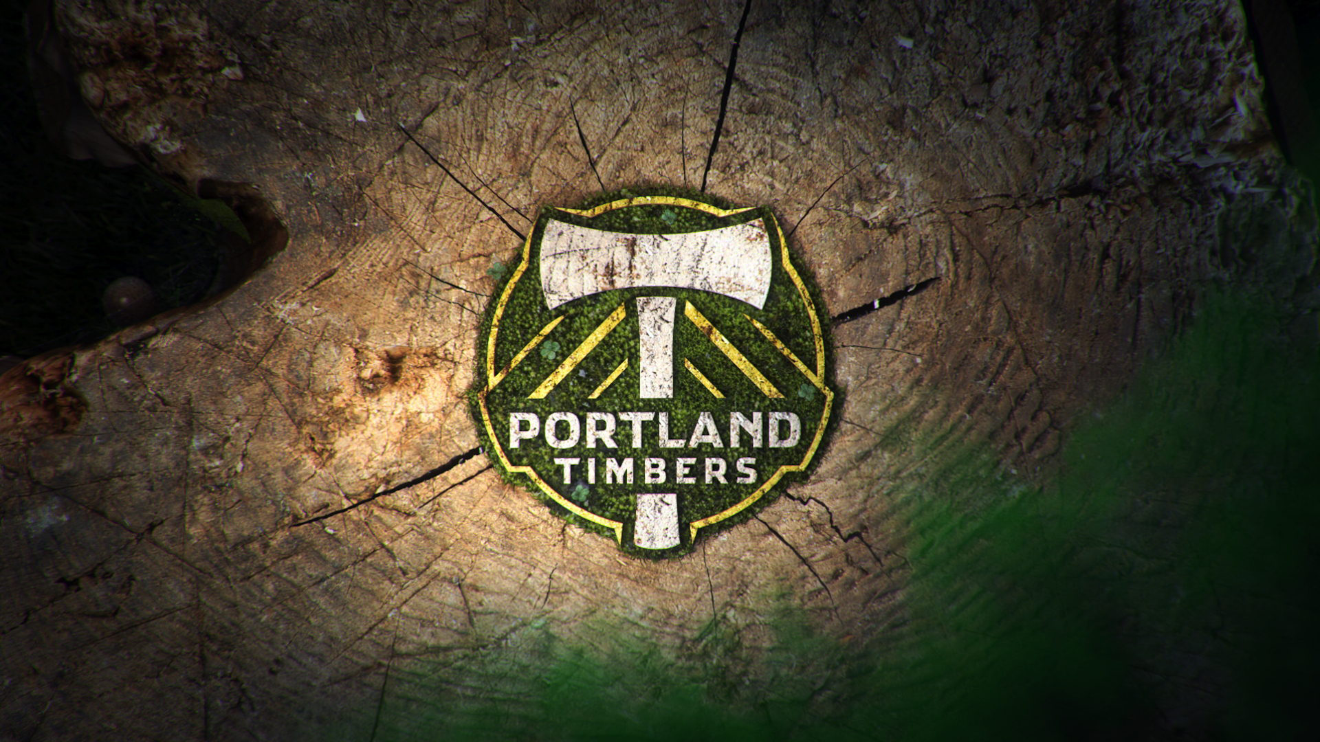 Agency In Portland High End Motion Graphics