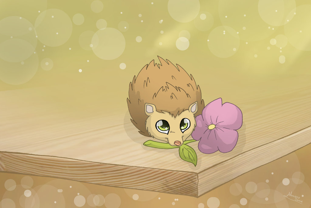 Cute Hedgehog Wallpaper Images Pictures   Becuo
