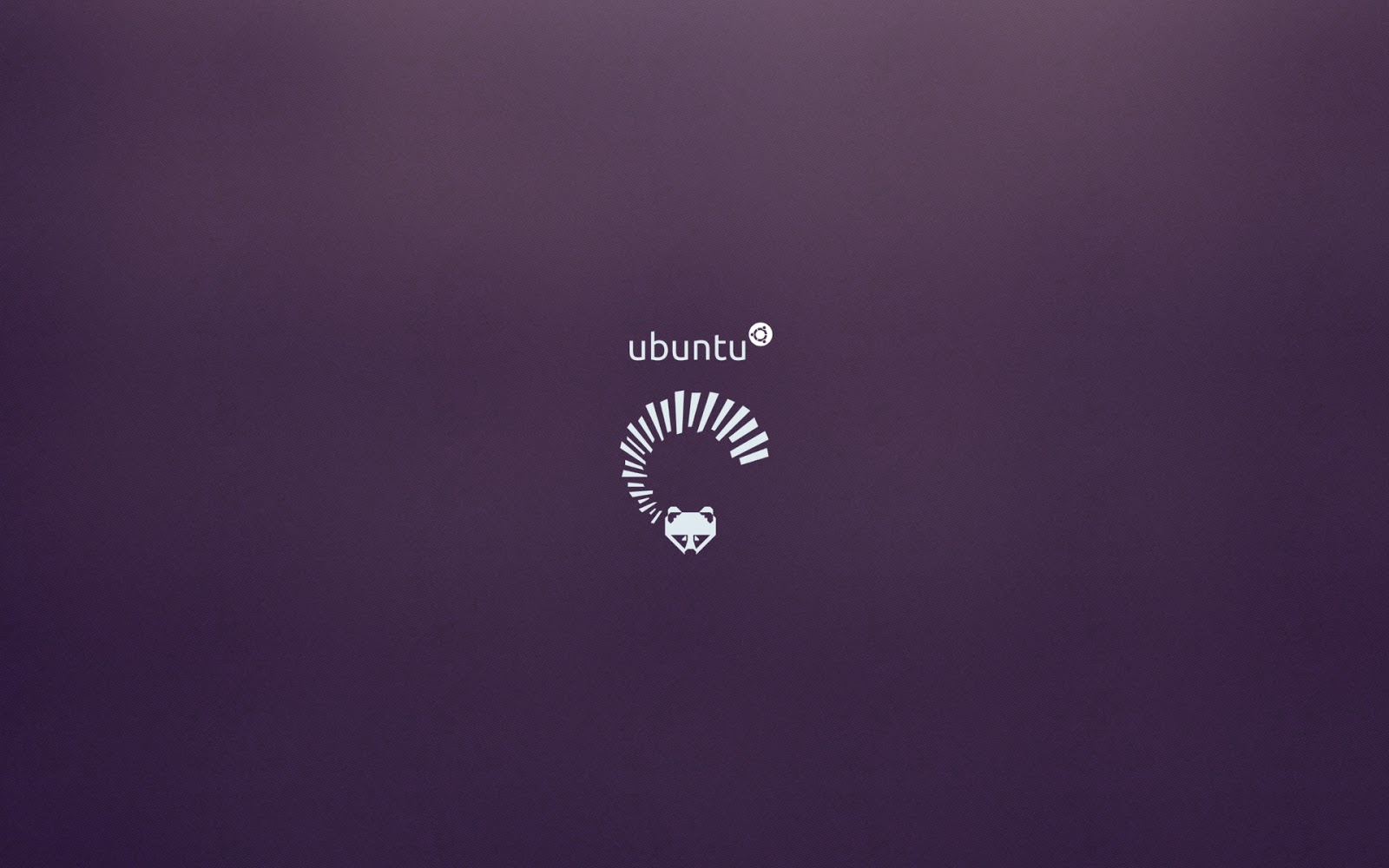 Linux Ubuntu 13 04 Wallpaper HD 1600x1000