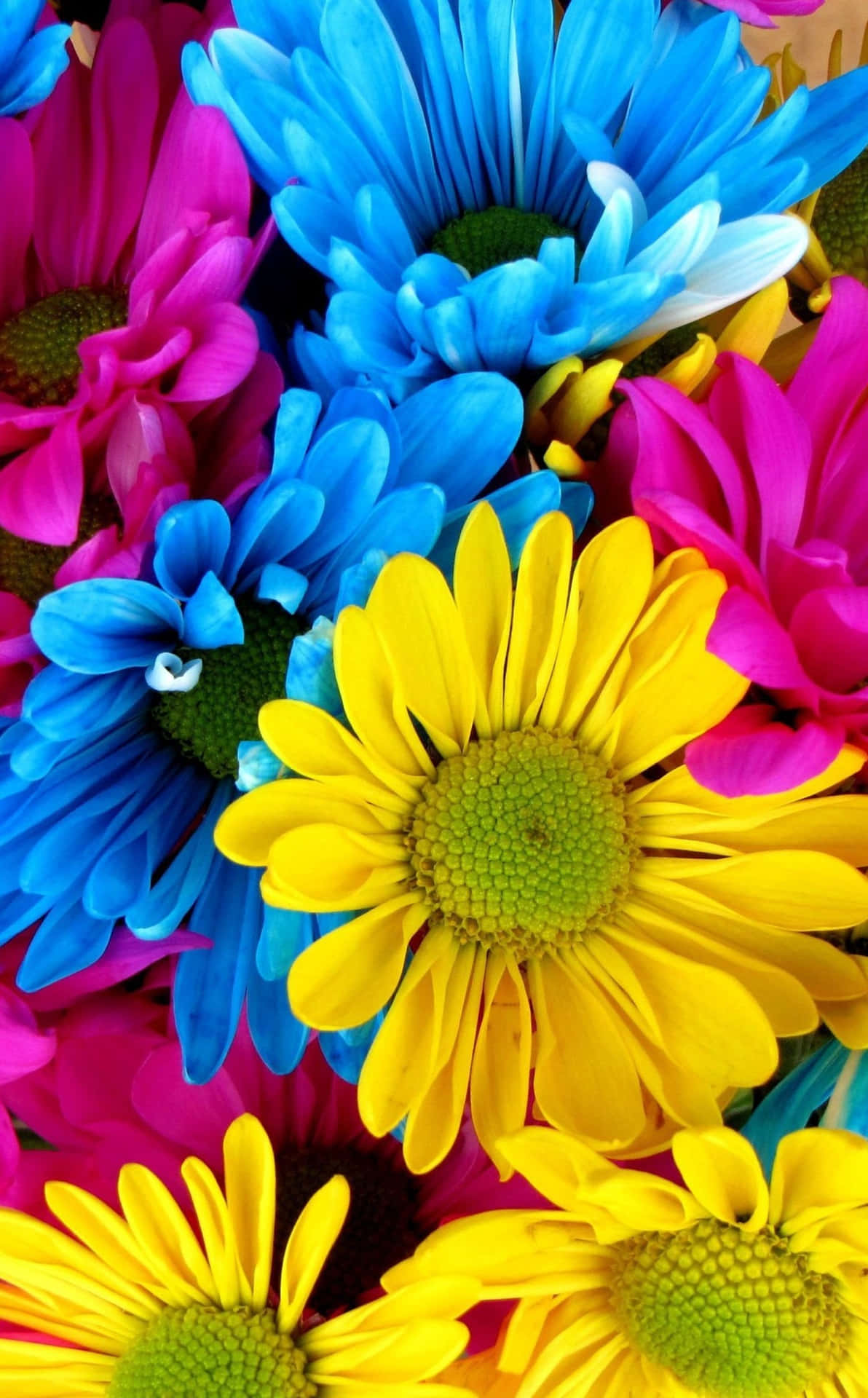 Colorful 4k Phone Wallpaper