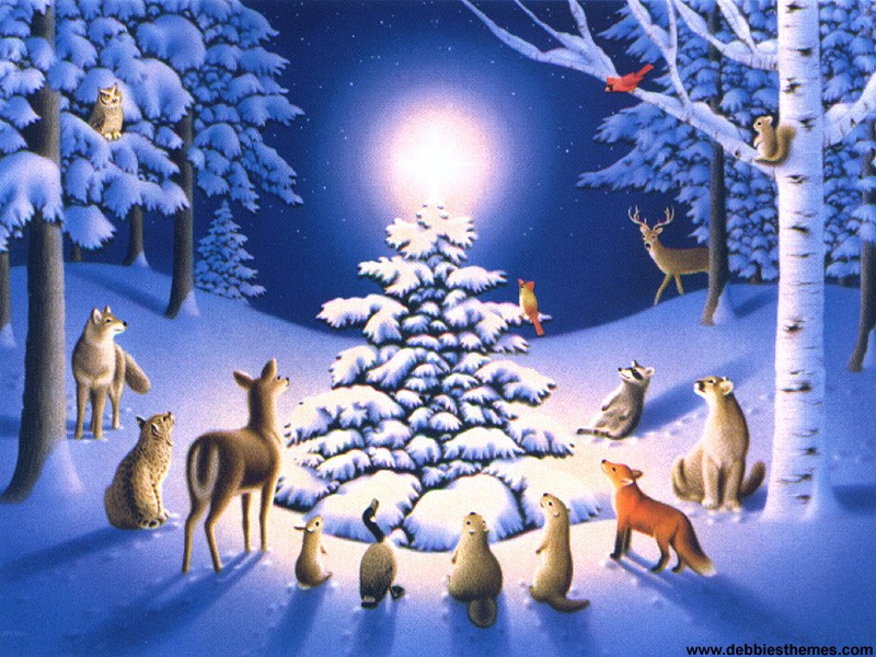 Snow Animals Wallpaper   Christmas Photography Desktop Wallpapers