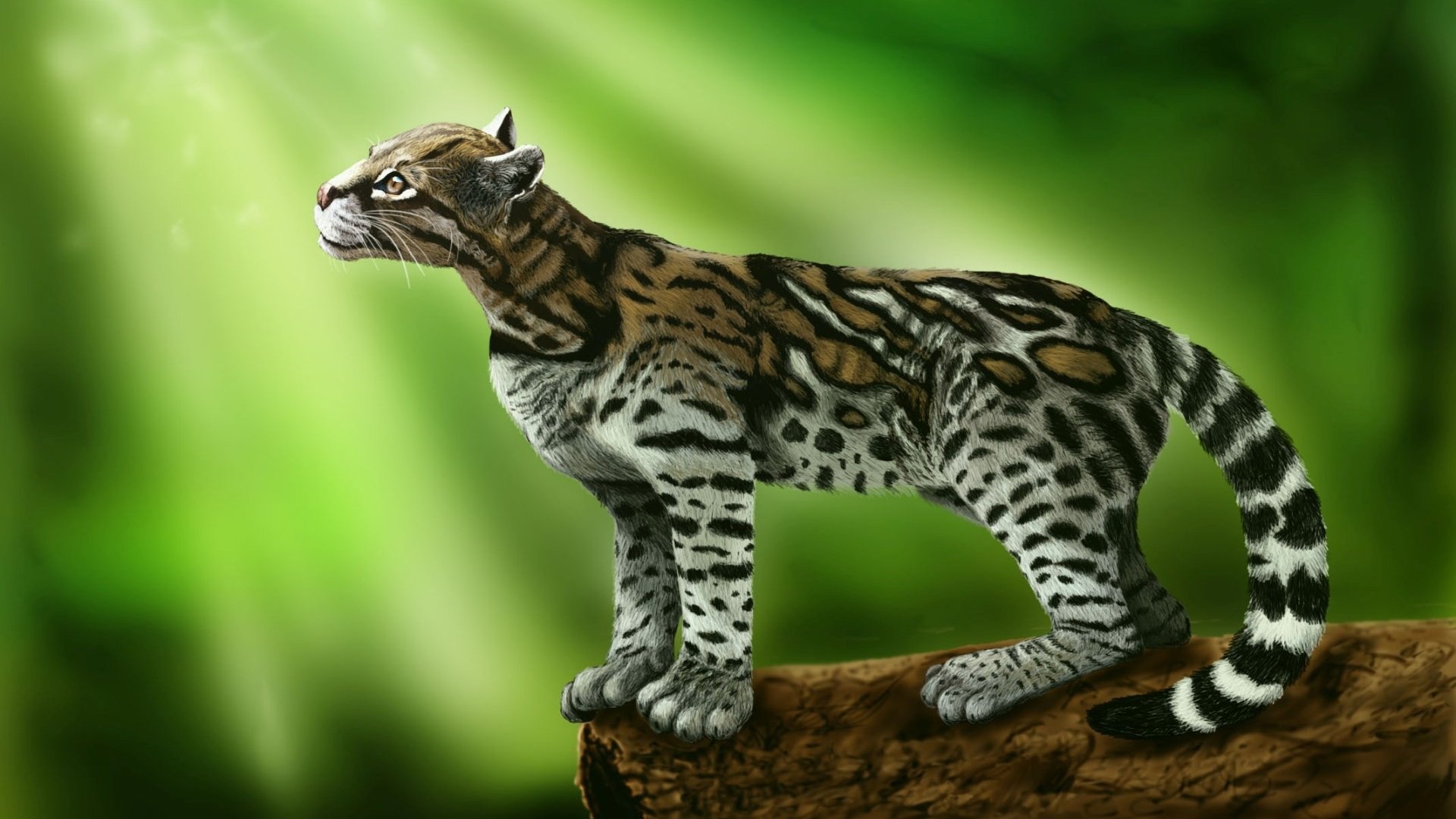 Free download Ocelot cat on a green background wallpapers and 1920x1080