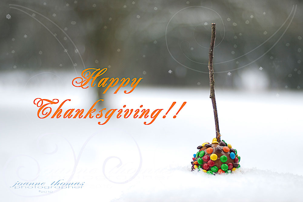 Happy Thanksgiving Day HD Wallpaper Cover Photos