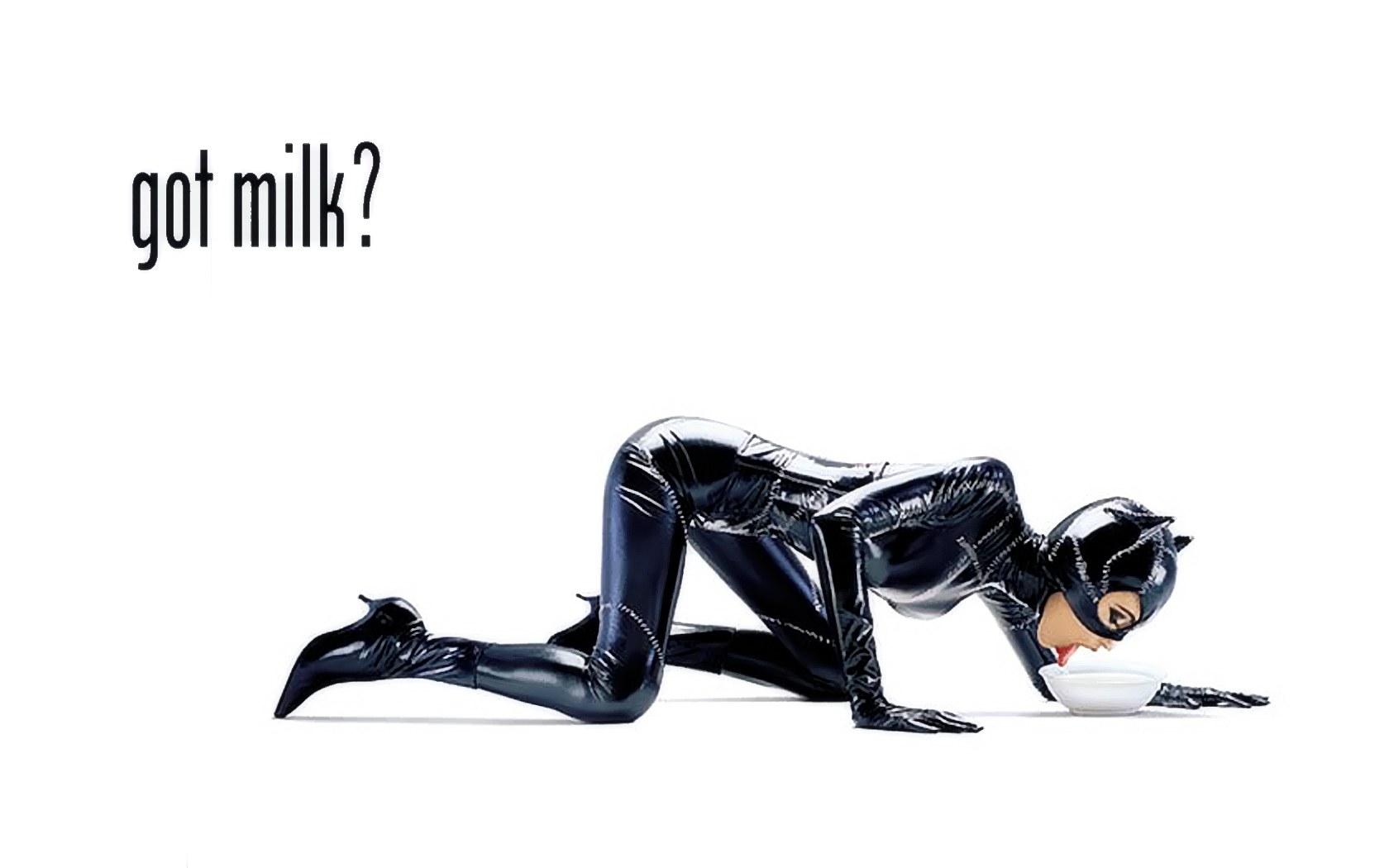 Got Milk Catwoman 1680x1050 Wallpaper on WallpaperMade