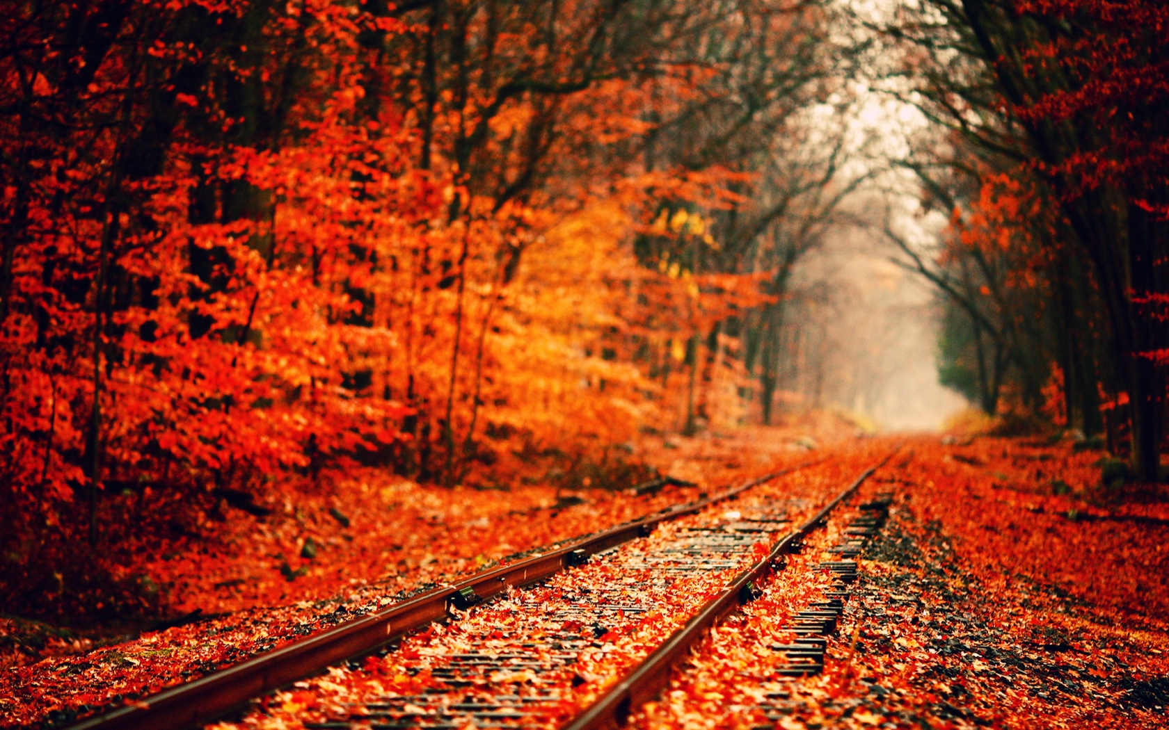 Fall For Desktop Wallpaper Image Of HD