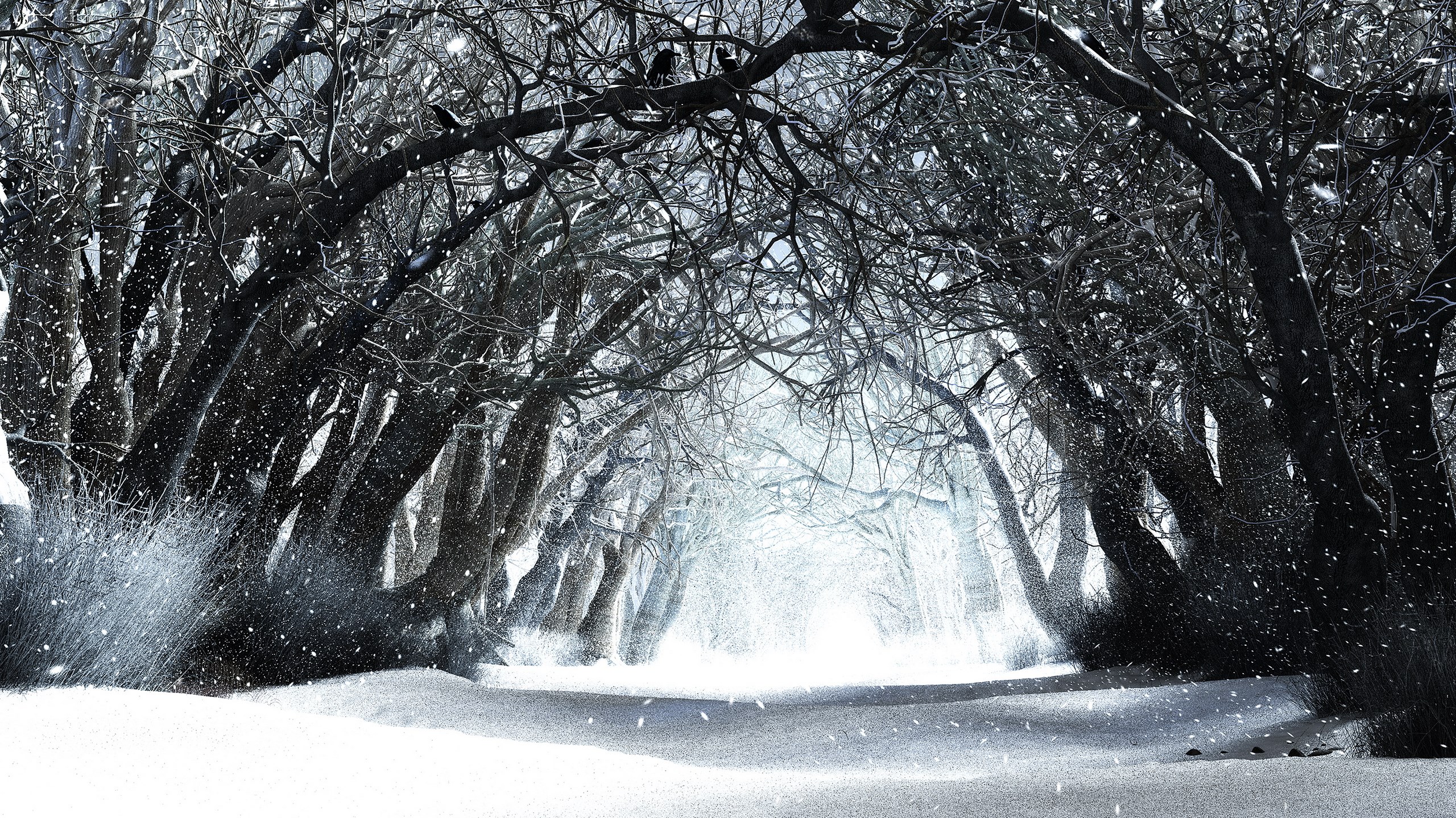 Nature Wallpaper Pack