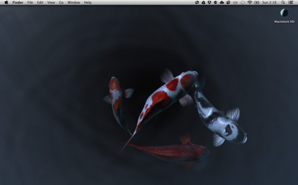 Koi Pond 3d A Tranquil Live Desktop For Mac Mactrast