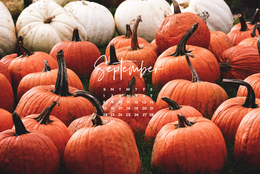 Download Pumpkins September Calendar Wallpaper