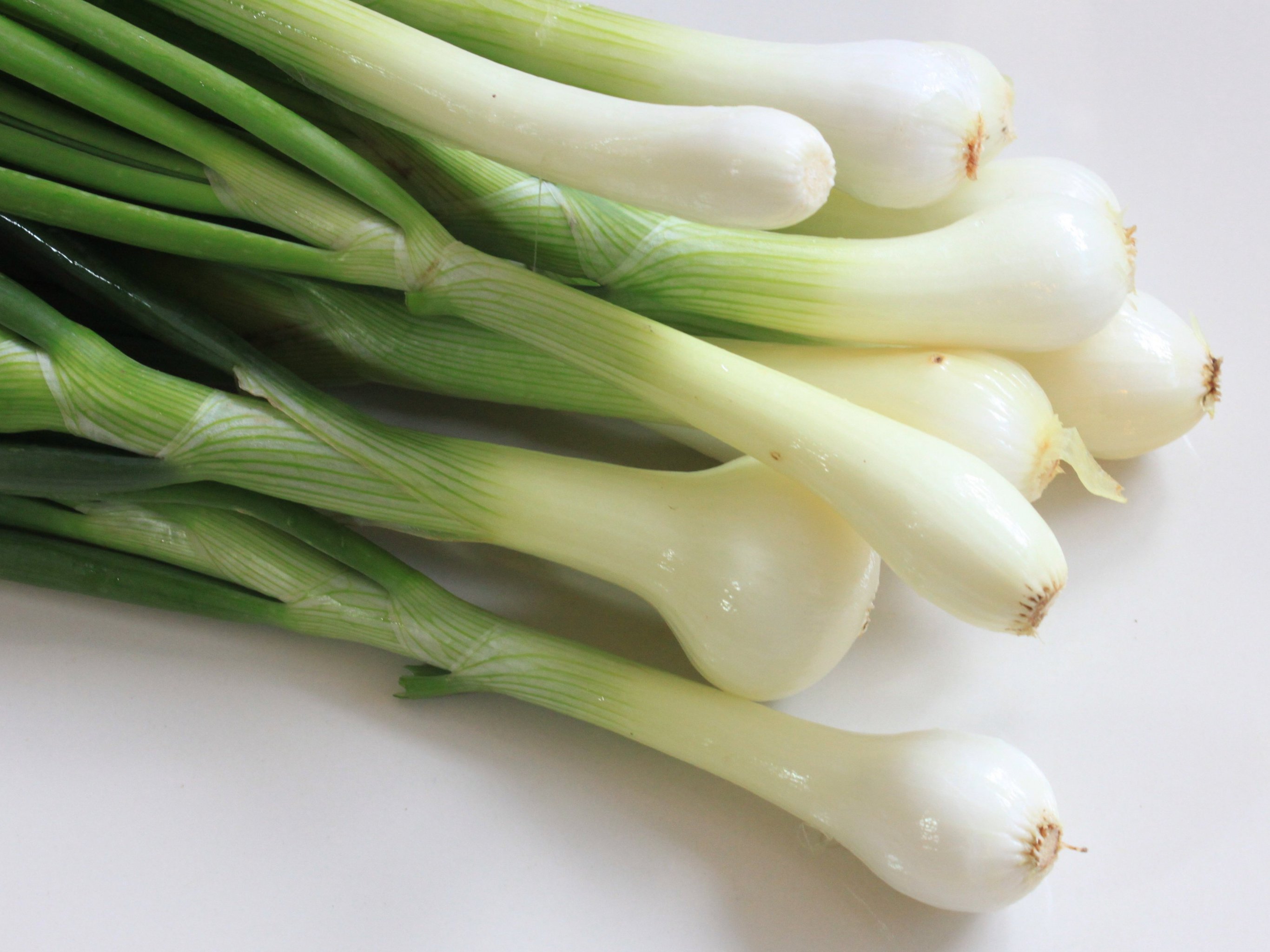 Green Onions Wallpaper