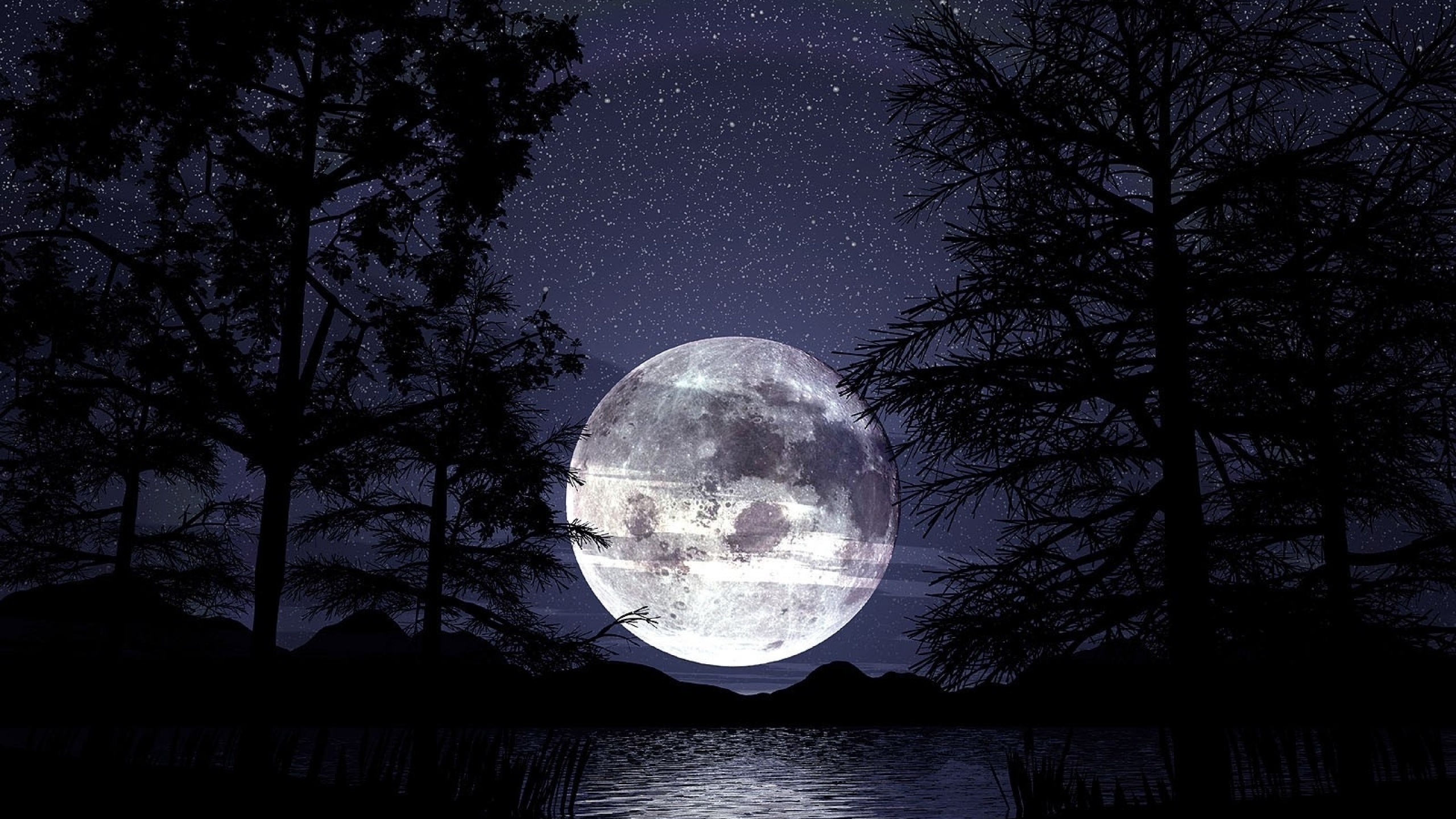 Moon Dark Trees Lake Night Desktop Pc And Mac Wallpaper