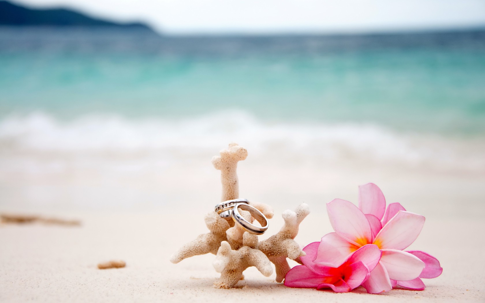 Beach Sand Coral Plumeria Flowers Wedding Rings Wallpaper By Kyouko
