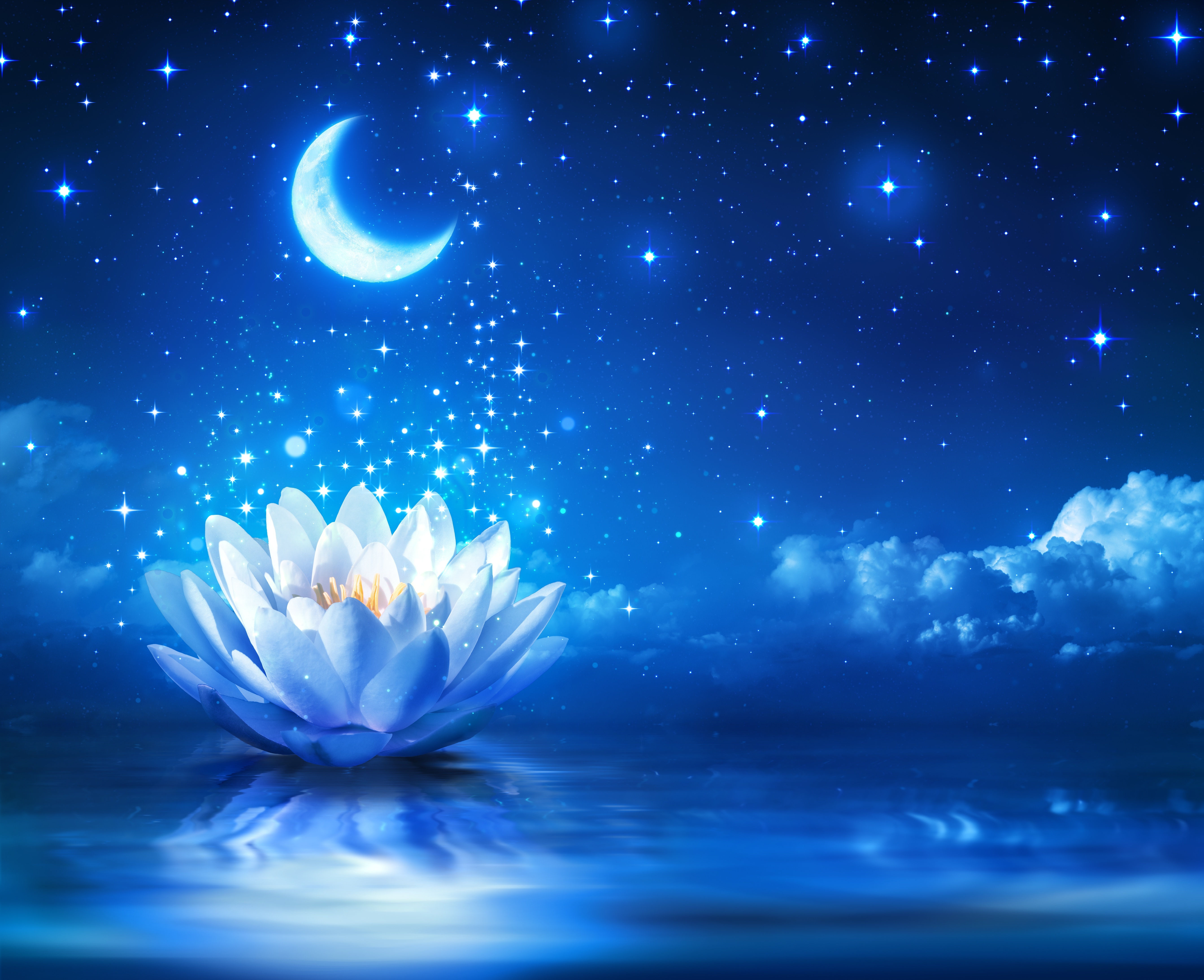 Photo Space Moon Flower Lotus Crescent