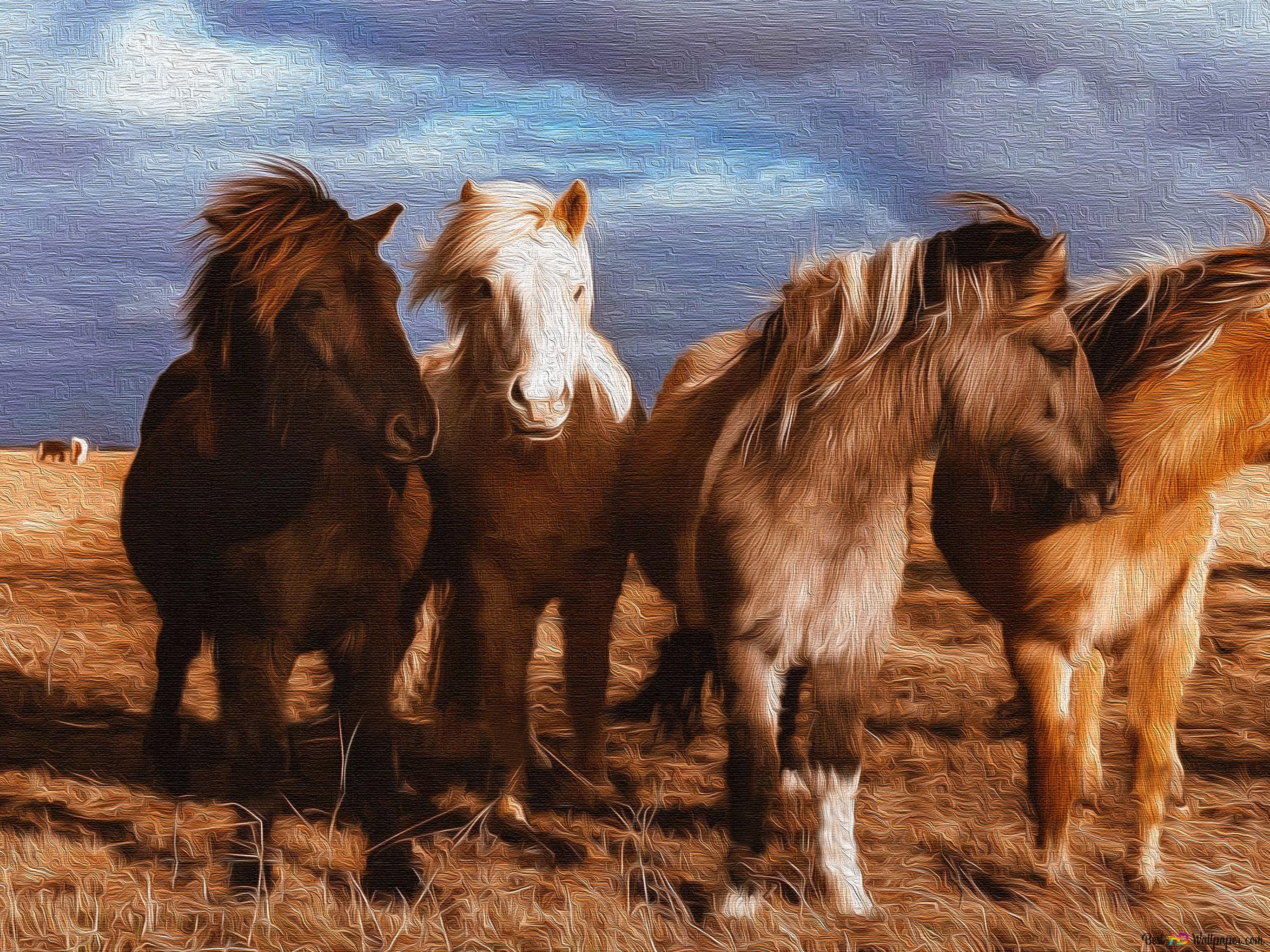 Photography Ponies Wallpaper