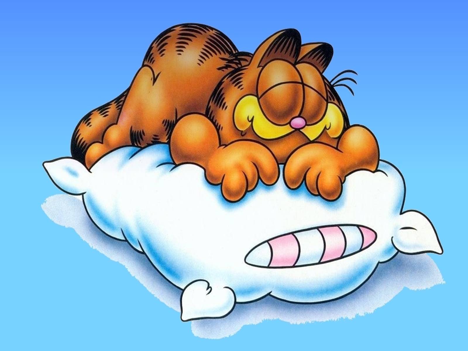 Garfield Desktop Wallpaper Pillow Sleeping
