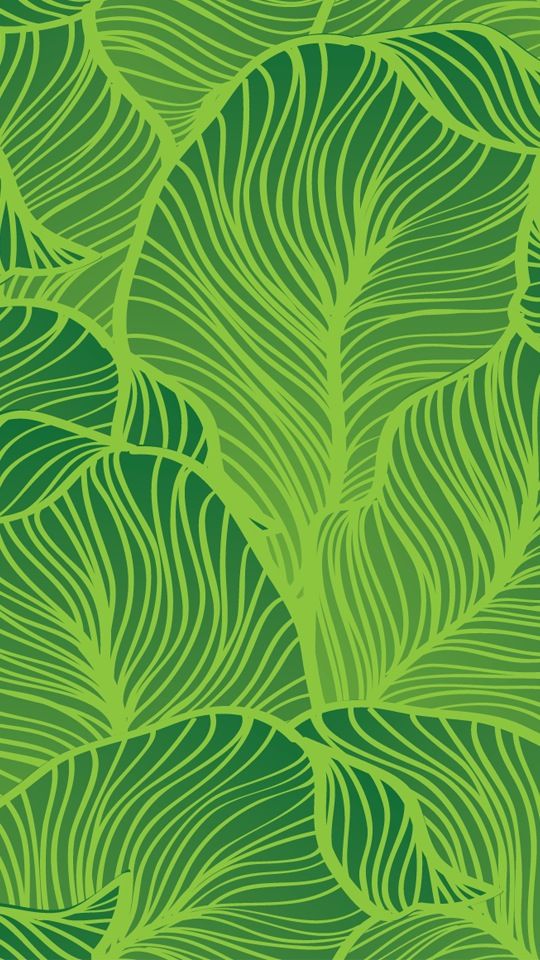 Tropical Leaf Background iPhone Wallpaper Pinterest
