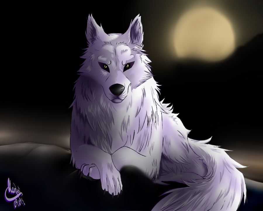 How To Draw A White Wolf, Step by Step, Drawing Guide, by Dawn - DragoArt