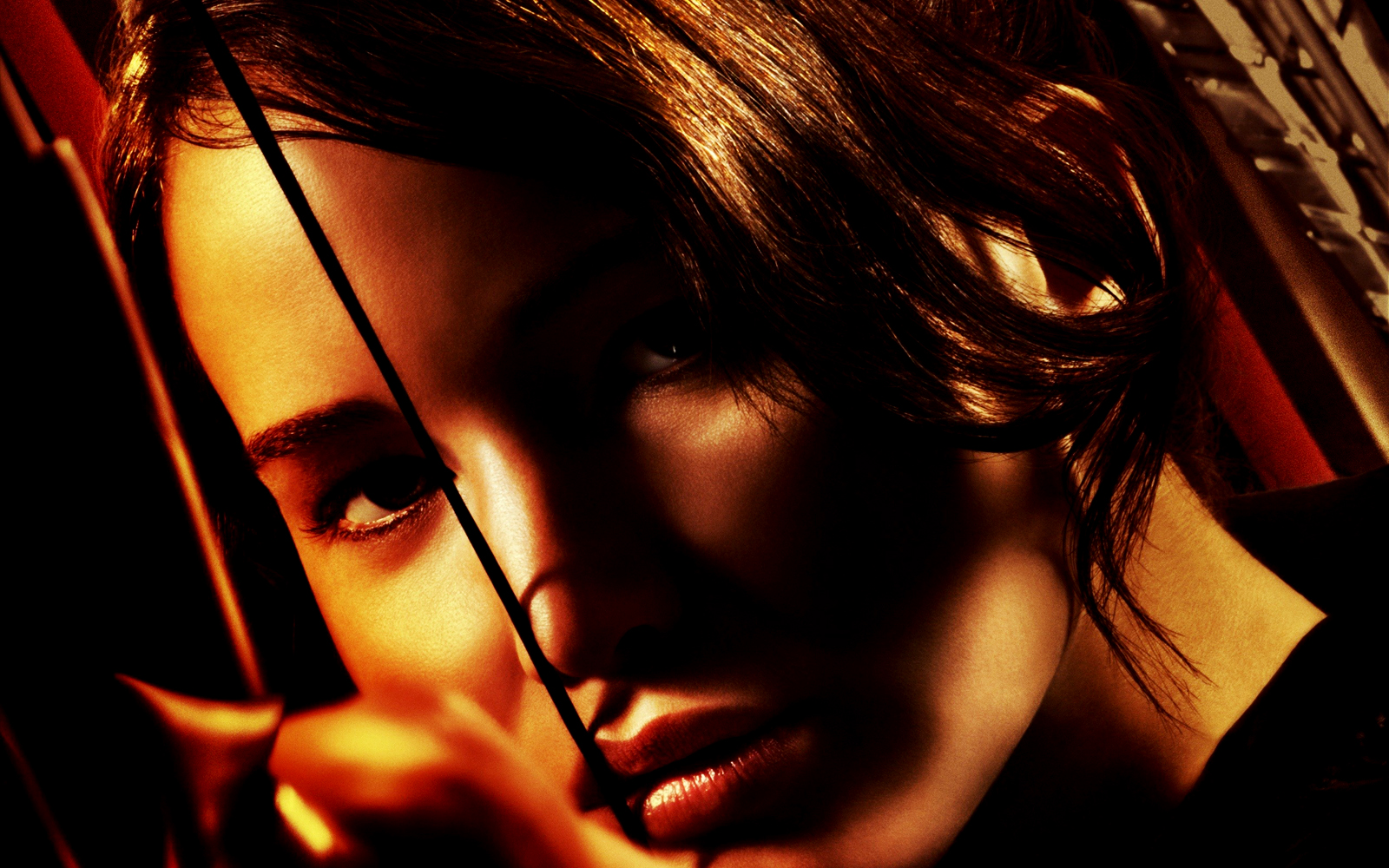  Hunger Games Posters HD Wallpapers Download Free Wallpapers in HD for
