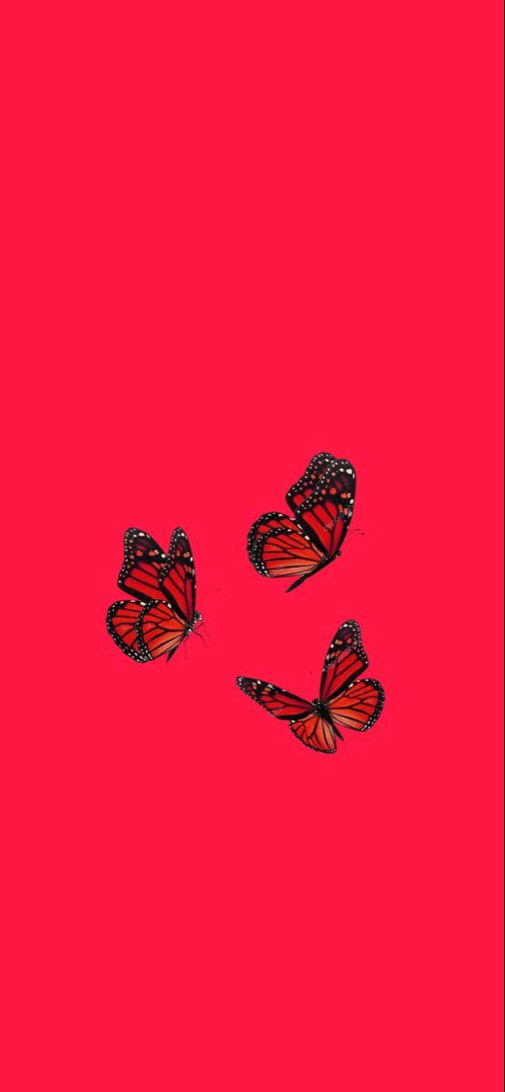 Cute Butterfly Aesthetic Phone Wallpaper iPhone Background Red
